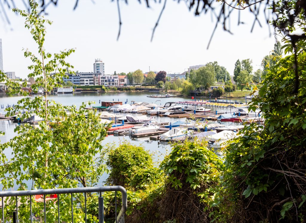 Anlegerwohnung in 1220 Wien